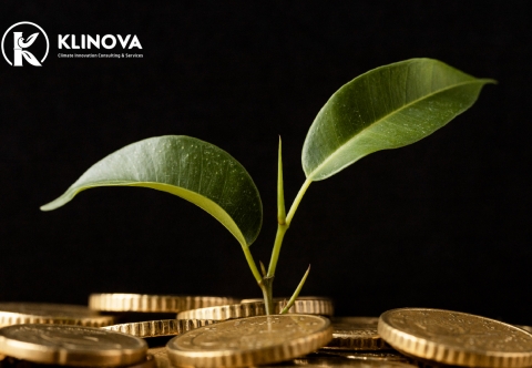 Sustainable finance consulting